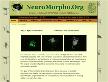 Tablet Screenshot of neuromorpho.org